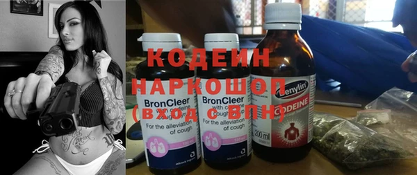 гидра Гусев