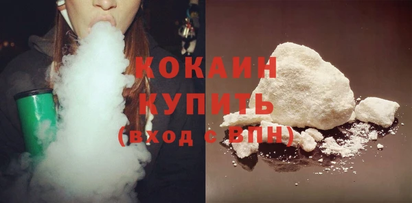 гидра Гусев