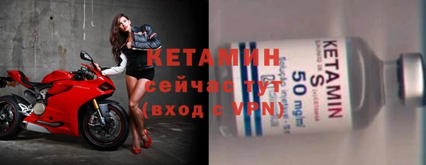 гидра Гусев