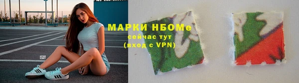 гидра Гусев