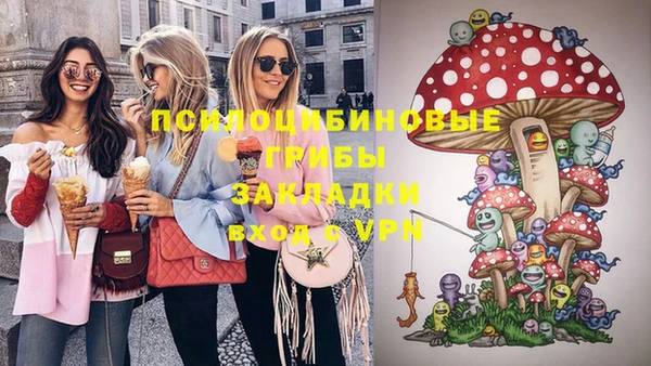 марки lsd Гусиноозёрск