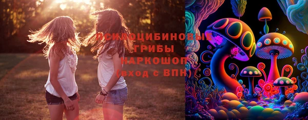 герыч Гусь-Хрустальный