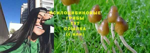 гидра Гусев