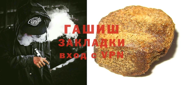 гидра Гусев