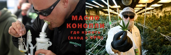 гидра Гусев