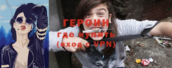 гидра Гусев