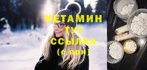 гидра Гусев